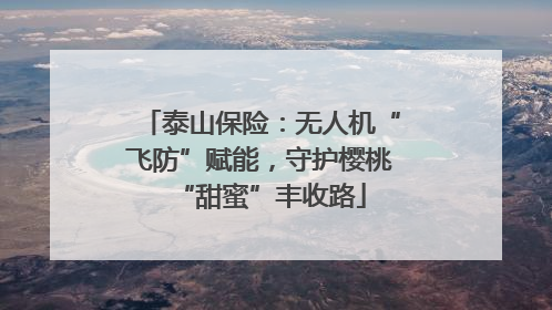 泰山保险：无人机“飞防”赋能，守护樱桃“甜蜜”丰收路