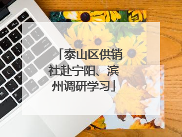 泰山区供销社赴宁阳、滨州调研学习
