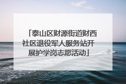 泰山区财源街道财西社区退役军人服务站开展护学岗志愿活动