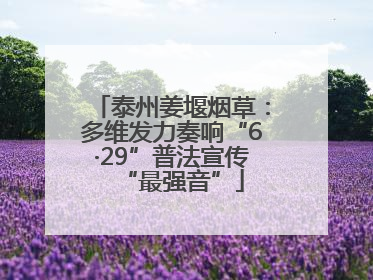 泰州姜堰烟草：多维发力奏响“6·29”普法宣传“最强音”