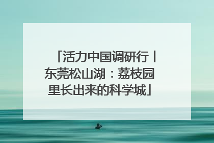 活力中国调研行丨东莞松山湖：荔枝园里长出来的科学城