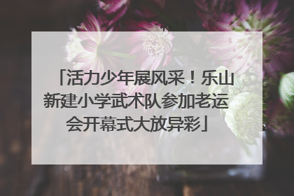 活力少年展风采！乐山新建小学武术队参加老运会开幕式大放异彩