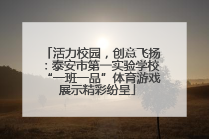 活力校园，创意飞扬：泰安市第一实验学校“一班一品”体育游戏展示精彩纷呈
