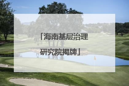 海南基层治理研究院揭牌