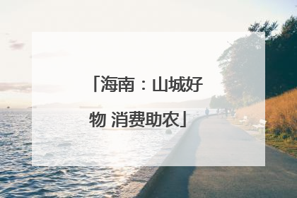 海南：山城好物 消费助农