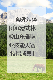 海外媒体团沉浸式体验山东省职业技能大赛技能成果