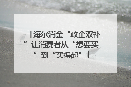 海尔消金“政企双补”让消费者从“想要买”到“买得起”