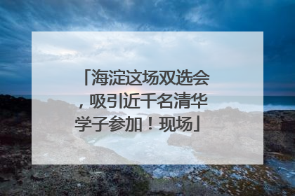 海淀这场双选会，吸引近千名清华学子参加！现场