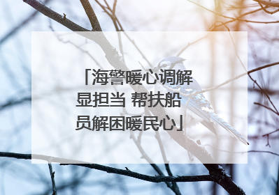 海警暖心调解显担当 帮扶船员解困暖民心