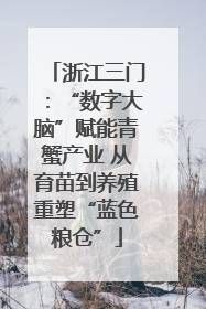 浙江三门：“数字大脑”赋能青蟹产业 从育苗到养殖重塑“蓝色粮仓”