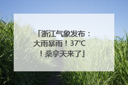 浙江气象发布：大雨暴雨！37℃！桑拿天来了