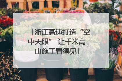 浙江高速打造“空中天眼” 让千米高山施工看得见