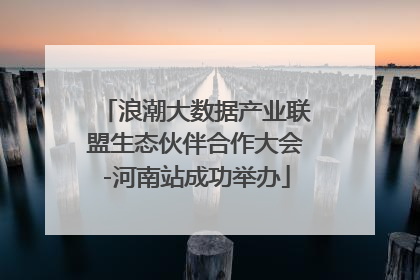 浪潮大数据产业联盟生态伙伴合作大会-河南站成功举办