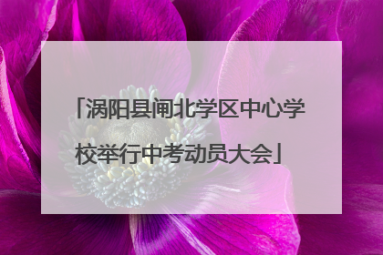 涡阳县闸北学区中心学校举行中考动员大会
