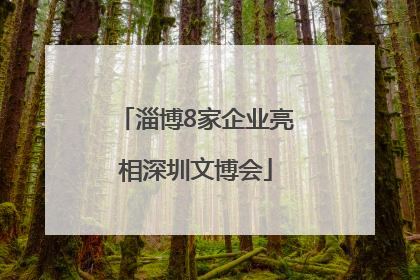 淄博8家企业亮相深圳文博会