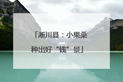 淅川县：小果桑种出好“钱”景