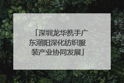 深圳龙华携手广东潮阳深化纺织服装产业协同发展