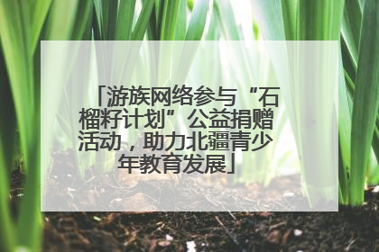 游族网络参与“石榴籽计划”公益捐赠活动，助力北疆青少年教育发展