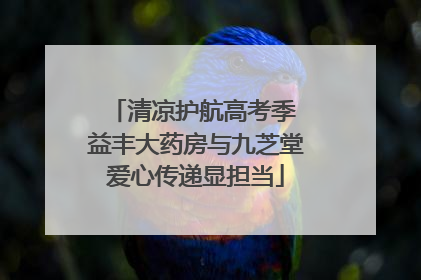 清凉护航高考季 益丰大药房与九芝堂爱心传递显担当