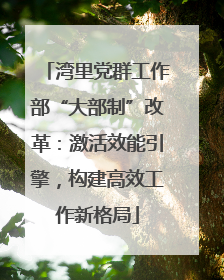 湾里党群工作部“大部制”改革：激活效能引擎，构建高效工作新格局