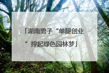 湖南男子“单腿创业”撑起绿色园林梦