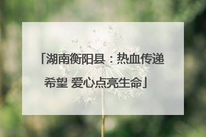 湖南衡阳县：热血传递希望 爱心点亮生命