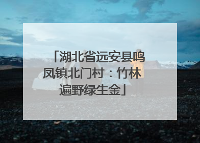 湖北省远安县鸣凤镇北门村：竹林遍野绿生金