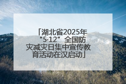 湖北省2025年“5·12”全国防灾减灾日集中宣传教育活动在汉启动
