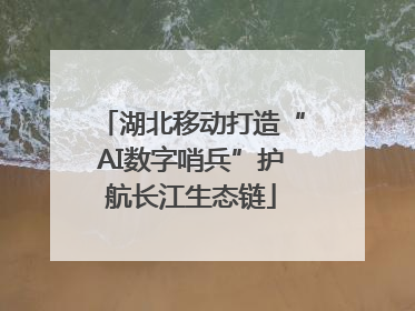 湖北移动打造“AI数字哨兵”护航长江生态链