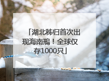 湖北秭归首次出现海南鳽！全球仅存1000只