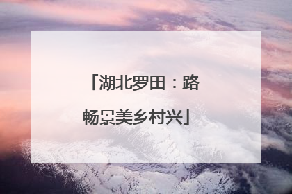 湖北罗田：路畅景美乡村兴