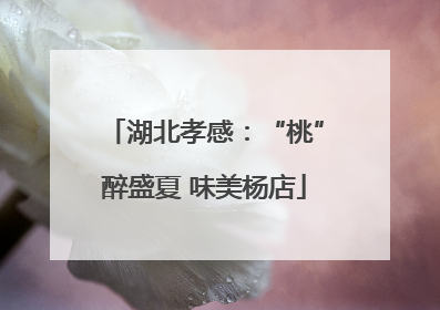 湖北孝感：“桃”醉盛夏 味美杨店
