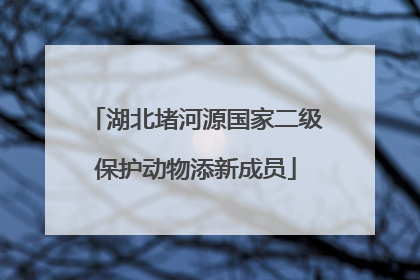 湖北堵河源国家二级保护动物添新成员