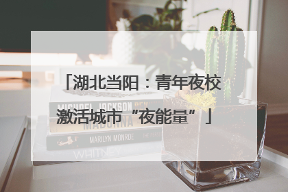 湖北当阳：青年夜校激活城市“夜能量”