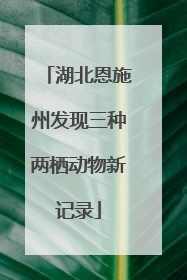 湖北恩施州发现三种两栖动物新记录