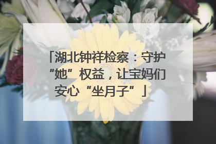 湖北钟祥检察：守护“她”权益，让宝妈们安心“坐月子”