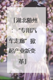 湖北随州：“专用汽车走廊”掀起产业新变革