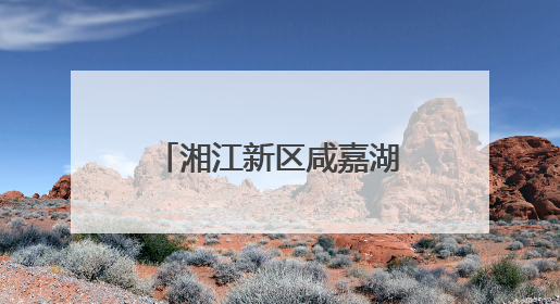 湘江新区咸嘉湖街道：全民共筑“青春防毒墙” 守护无毒未来