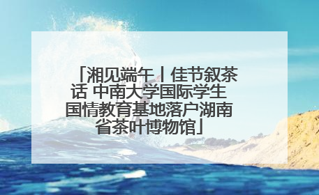 湘见端午丨佳节叙茶话 中南大学国际学生国情教育基地落户湖南省茶叶博物馆