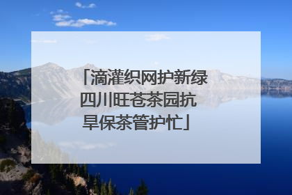 滴灌织网护新绿 四川旺苍茶园抗旱保茶管护忙
