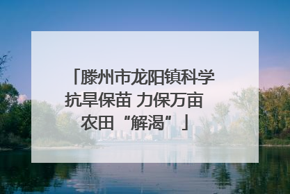 滕州市龙阳镇科学抗旱保苗 力保万亩农田“解渴”
