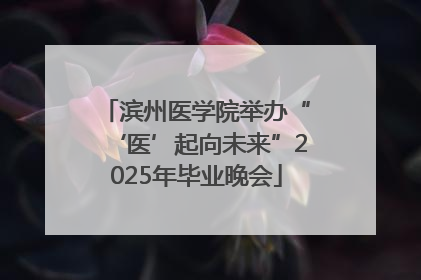 滨州医学院举办“‘医’起向未来”2025年毕业晚会