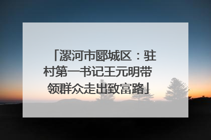 漯河市郾城区：驻村第一书记王元明带领群众走出致富路