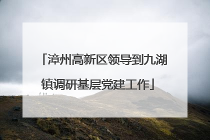 漳州高新区领导到九湖镇调研基层党建工作