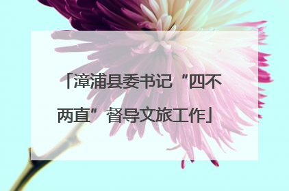 漳浦县委书记“四不两直”督导文旅工作