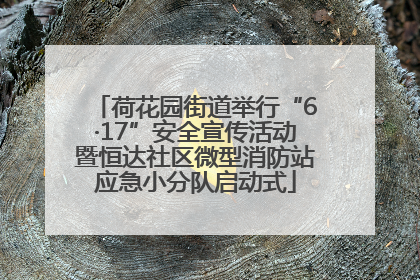 荷花园街道举行“6·17”安全宣传活动暨恒达社区微型消防站应急小分队启动式