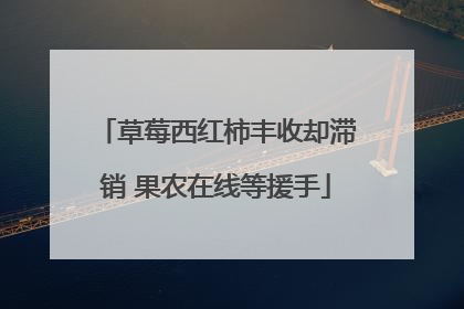 草莓西红柿丰收却滞销 果农在线等援手
