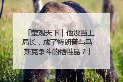 莹观天下｜他没当上局长，成了特朗普与马斯克争斗的牺牲品？