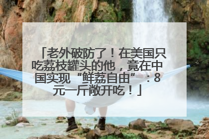 老外破防了！在美国只吃荔枝罐头的他，竟在中国实现“鲜荔自由”：8元一斤敞开吃！