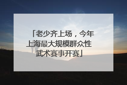 老少齐上场，今年上海最大规模群众性武术赛事开赛